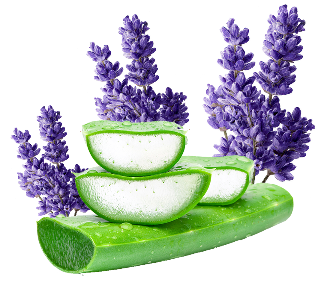 alovera lavender